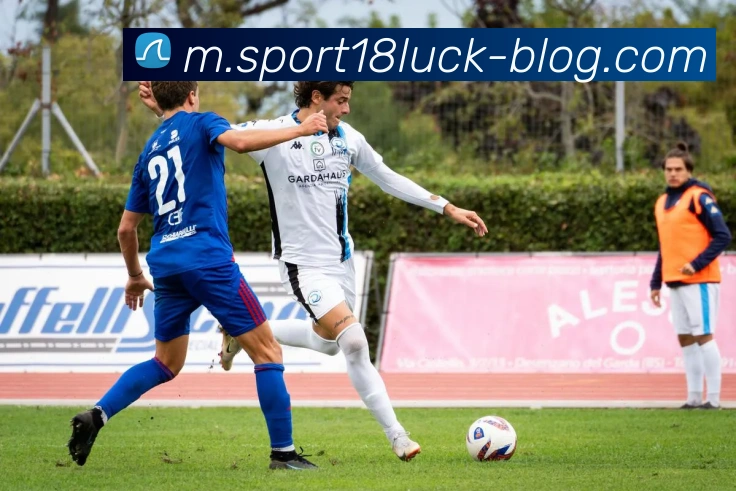 18新利体育APP 封面图